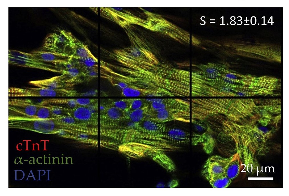 Stem Cell Podcast tweet media