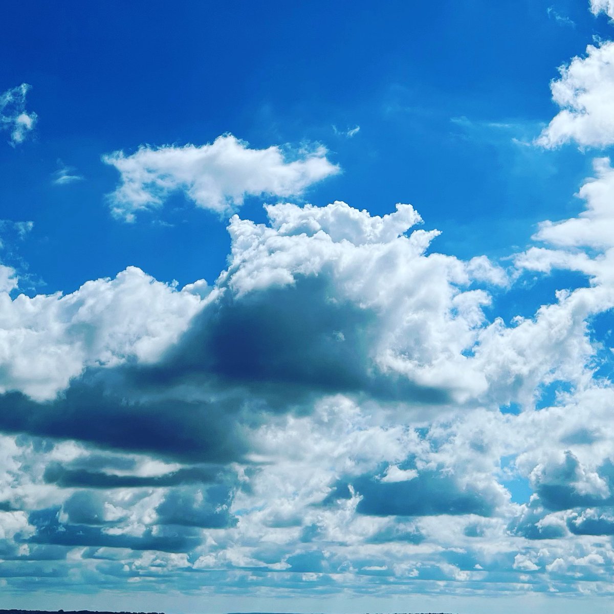countytshirts's tweet photo. Big Sky views!
.
.
.
#pec #princeedwardcounty #thecounty #countyup #visitpec #visitthecounty https://t.co/nSNRuONEE4