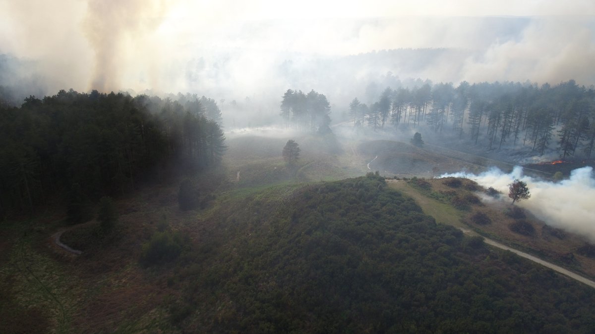 ❗ PLEASE SHARE ❗

We urgently need your help!

The fire severity alert is now RED which means we need everyone to take extra care by not having any campfires or bonfires and only BBQ at home keeping it away from dry vegetation, sheds &amp; fences.

#WildfireAware #Dorset #Wiltshire