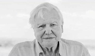 launders tweet media