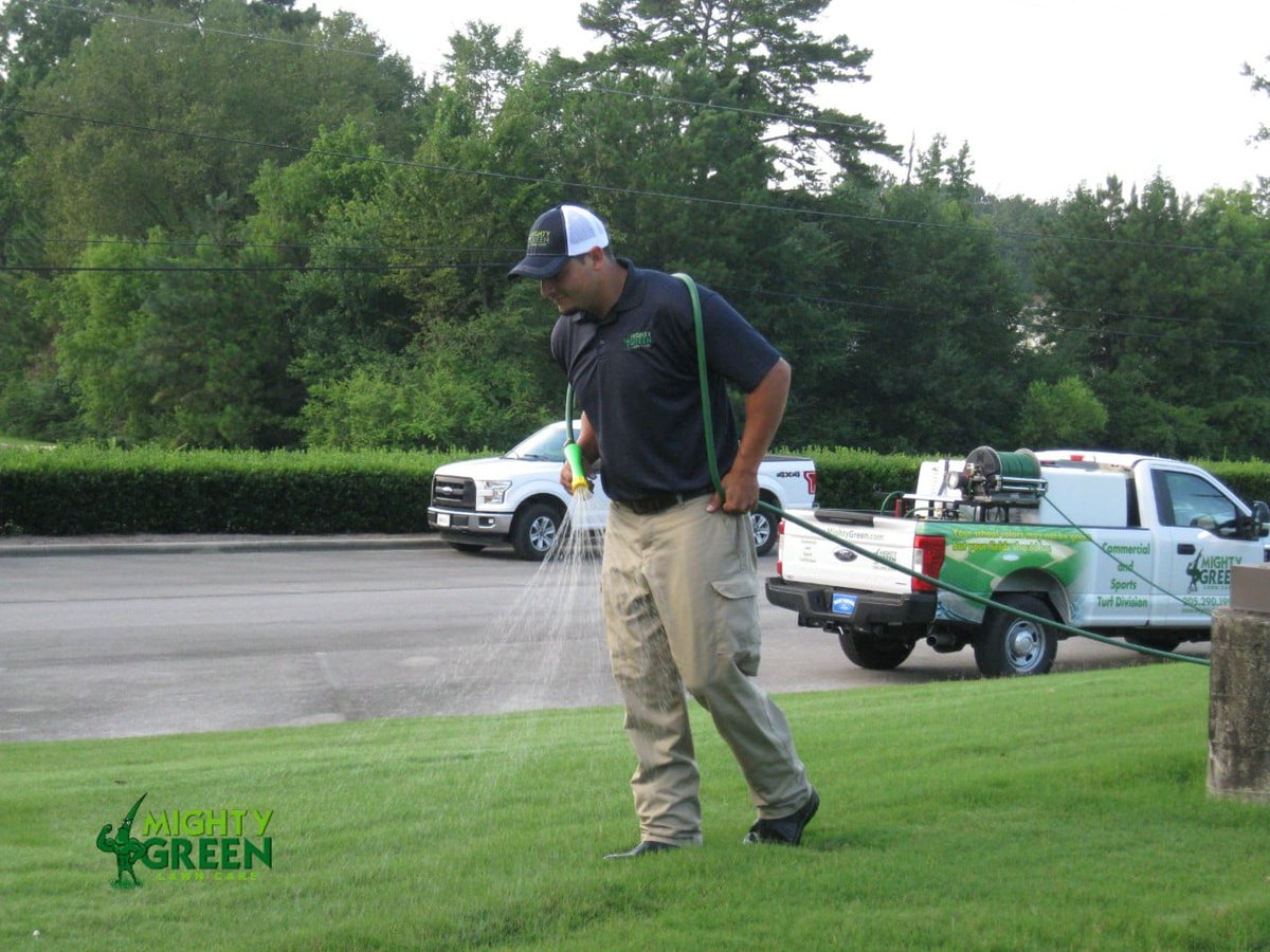 MightyGreenLawn's tweet photo. September will be here before we know it. It is the best time to apply pre-emergent for winter weeds as well as post-emergent for any grassy weeds that have popped up.  Call today for a free estimate and to get on our Fall #lawncare schedule! #lawnservice #lawntreatment https://t.co/FS6sMv5kCb