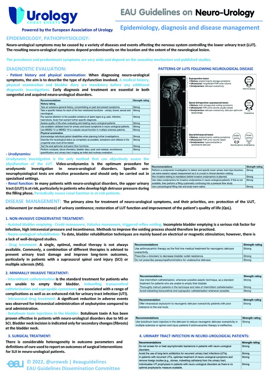 European Association of Urology (EAU) tweet media
