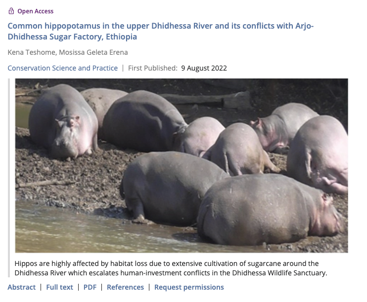 Un nuevo artículo en materia de conflicto con hipopótamos, esta vez en Etiopía.
conbio.onlinelibrary.wiley.com/doi/full/10.11…