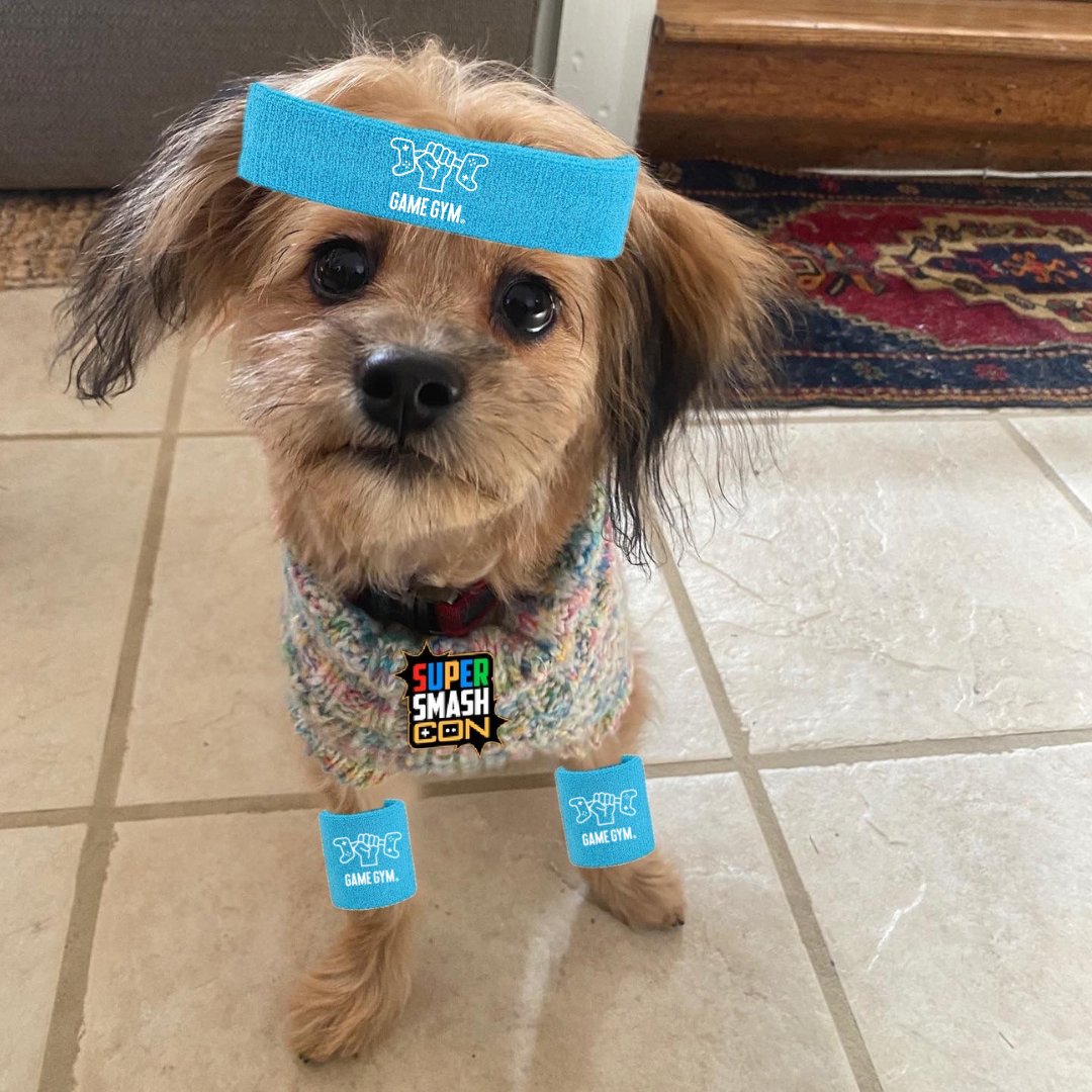 GameGymEsports's tweet image. Winnie&apos;s geared up and ready for #SmashCon! 😆

Like for good luck in your matches this weekend.

...or just because she&apos;s awesome. Either way, throw her some love on this beautiful Thursday 😎

#SSC22 #GameLocal