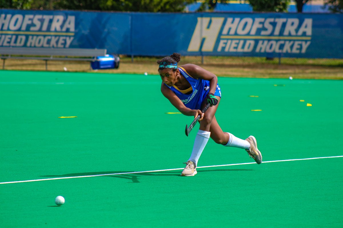 Hofstra Field Hockey tweet media