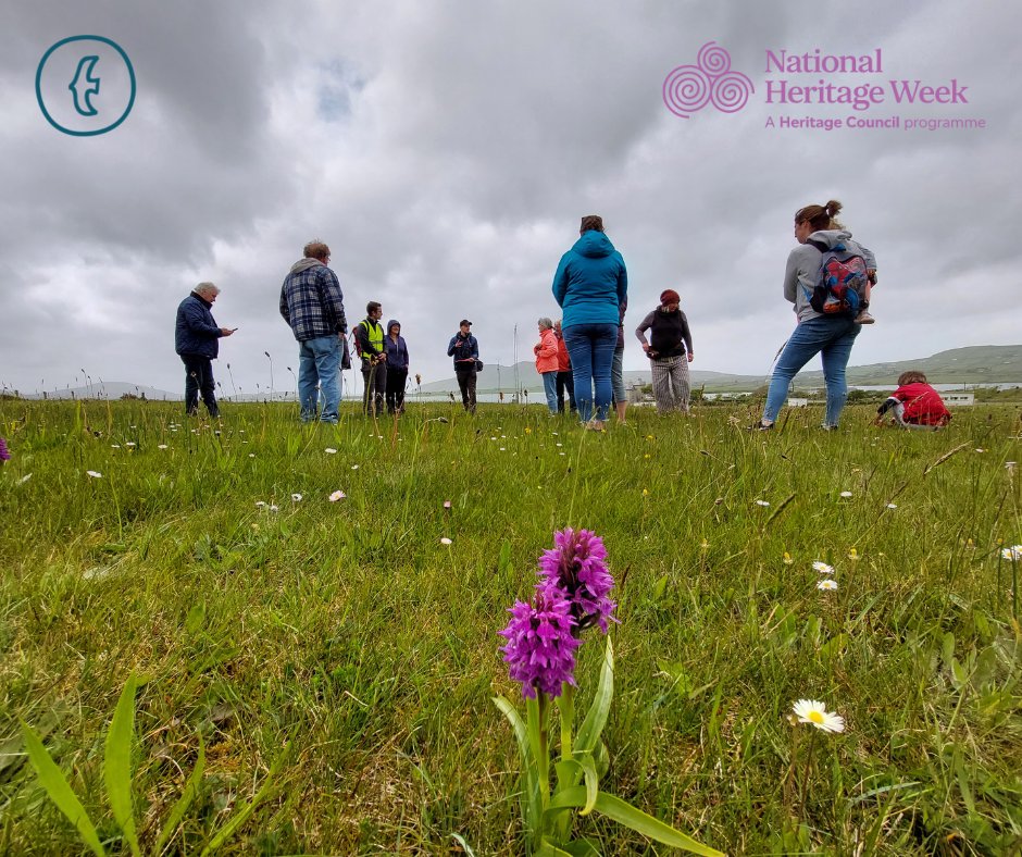 Llŷn Iveragh Ecomuseums tweet media