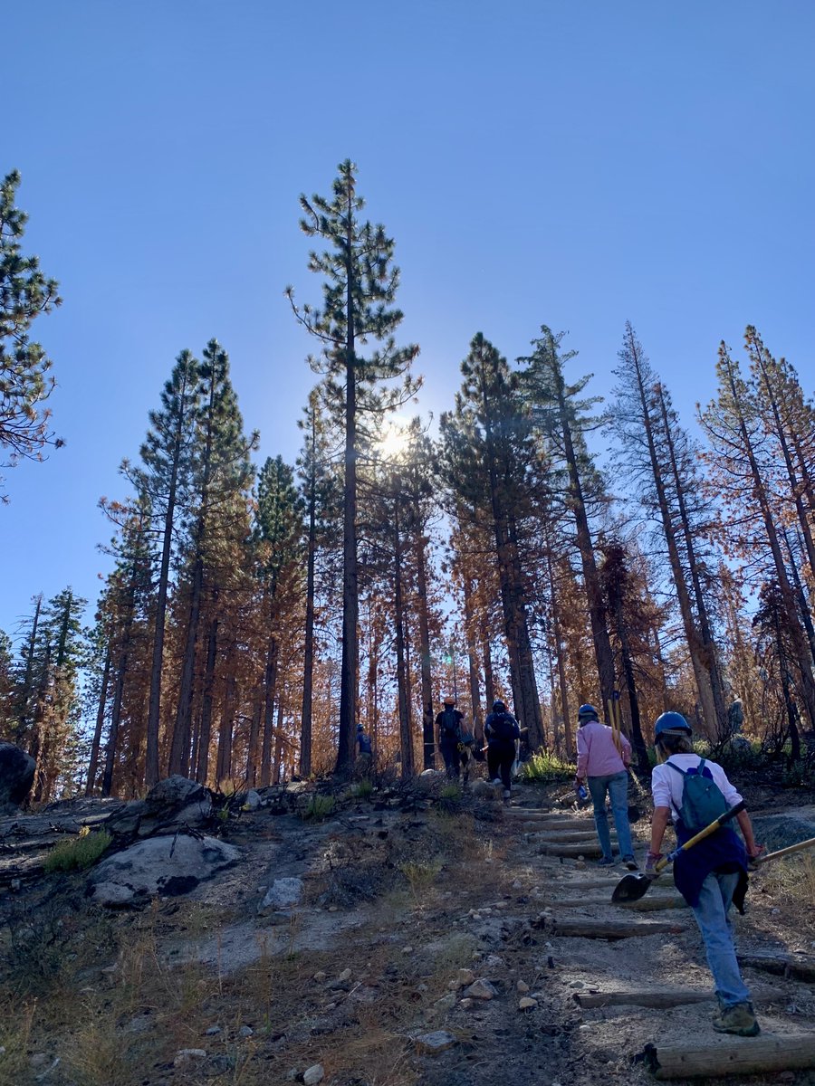 Madeline Sides tweet media