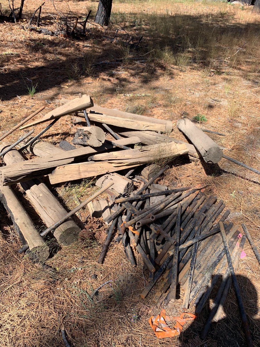 Madeline Sides tweet media