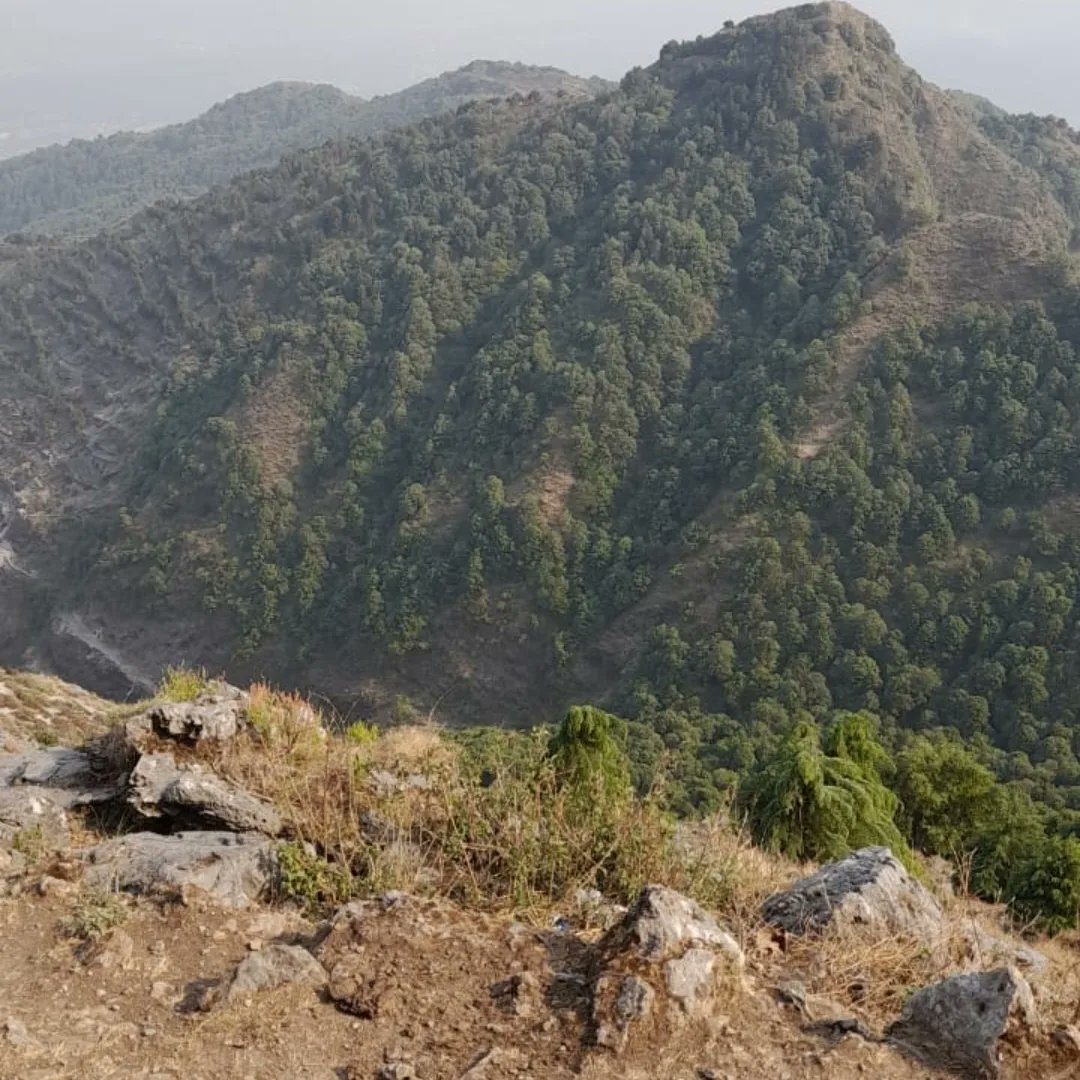 Himansh75128985's tweet photo. “In every walk with nature, one receives far more than he seeks.”

#natureart #mountains #roadsideview #naturephotography #naturelover #nature https://t.co/eJdYI6Bi2D