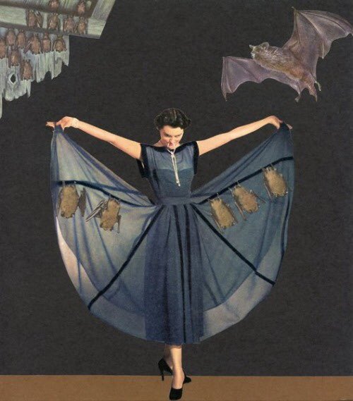 Vintage bat dress of my dreams 🦇