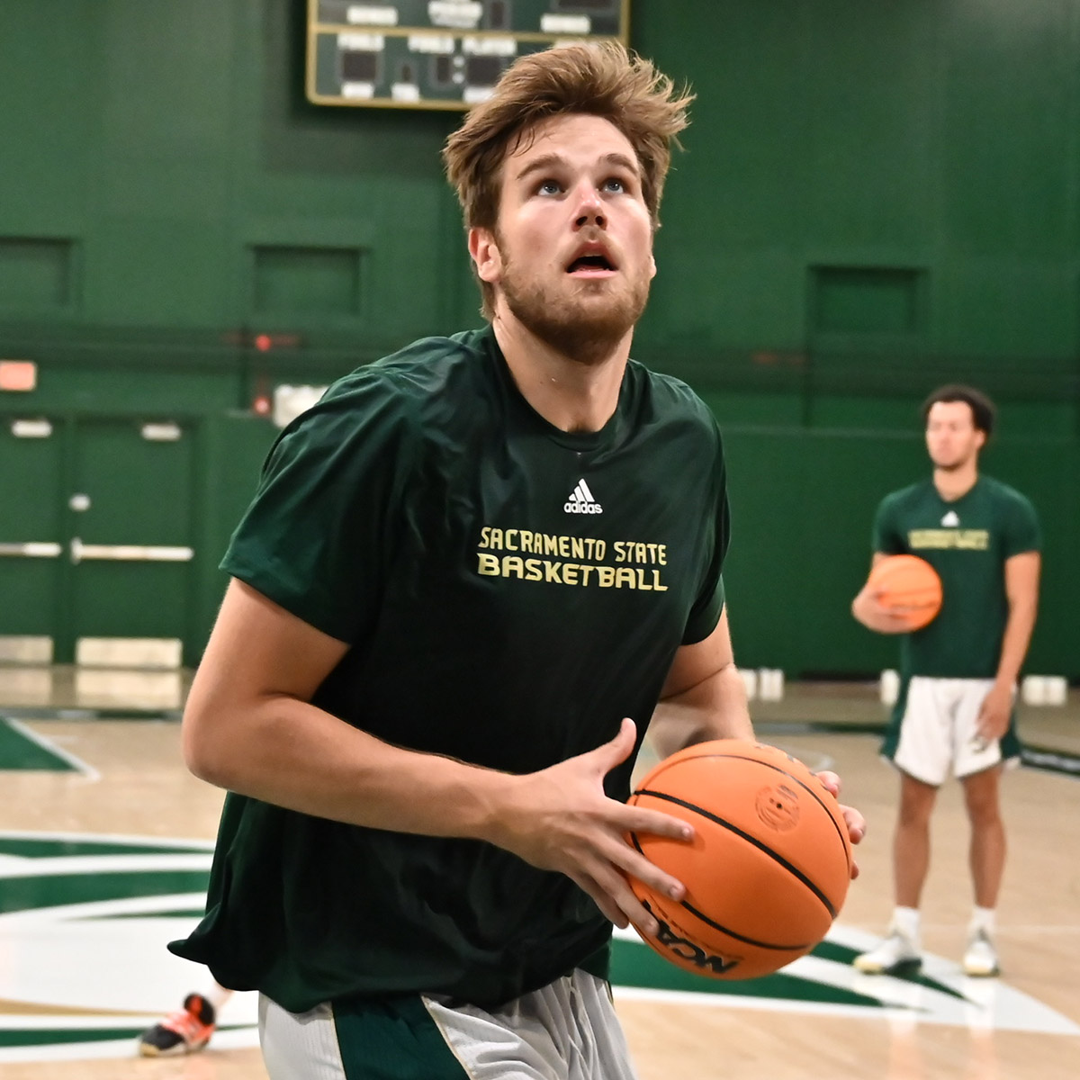 SacHornetsMBB's tweet photo. A native of New Zealand and standing 7-foot-1, @c_mcrae15 will become the tallest player in program history. He enters his first year with the Hornets after averaging 10.8 ppg, 7.9 rpg, 2.4 apg and 30.4 mpg last season at UC Riverside. #StingersUp https://t.co/at7FJPZRAv