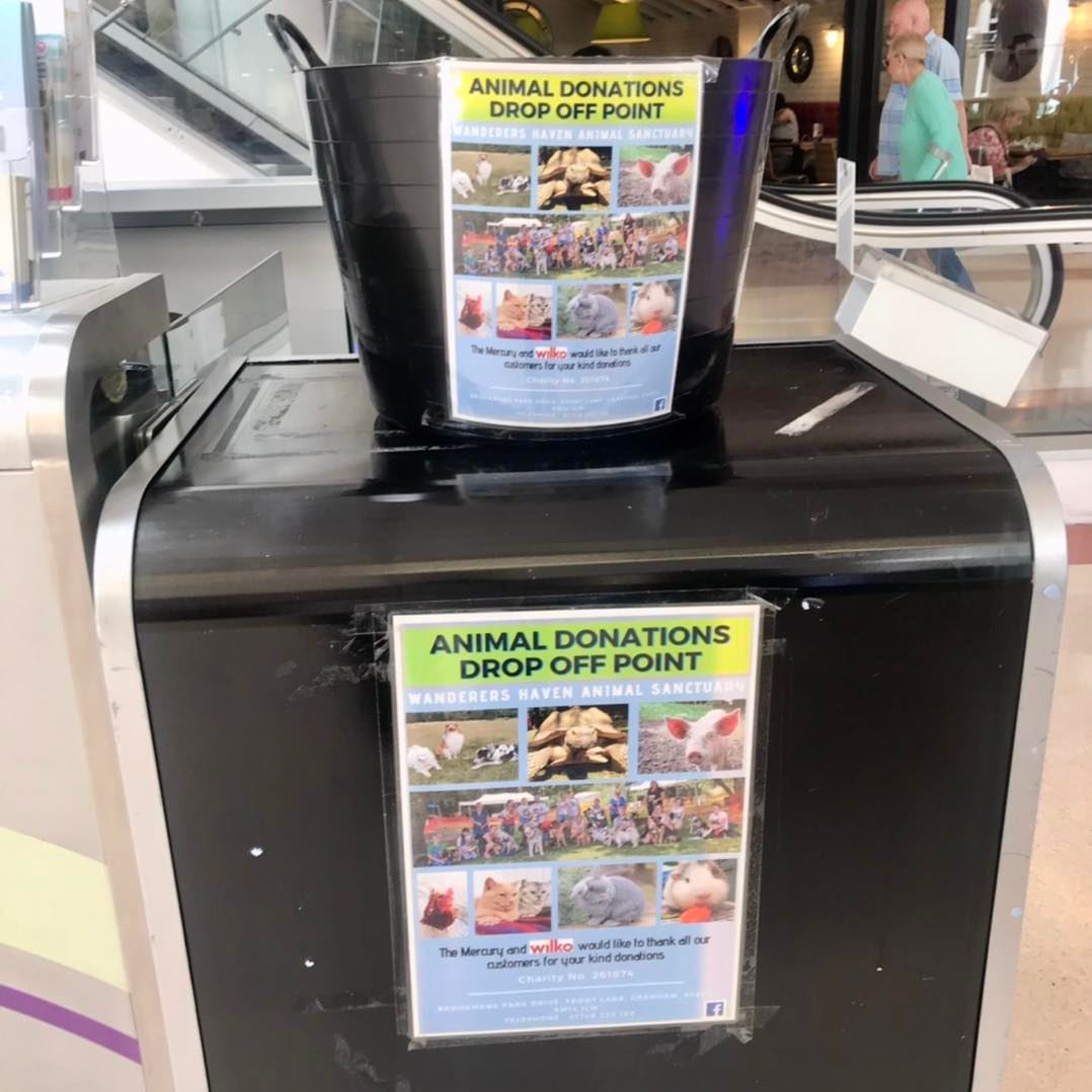 themercurymall's tweet photo. The Mercury has 2 drop off points for donations going to Wanderers Haven Animal Sanctuary, at the Helpdesk and inside @LoveWilko by the trolley park. #dropoffpoint #thankyou #dontations #Romford #dropoff #feelgood #animals #pigs #dogs #cats #charity #local #community #WHAS https://t.co/ULobbk3D1I