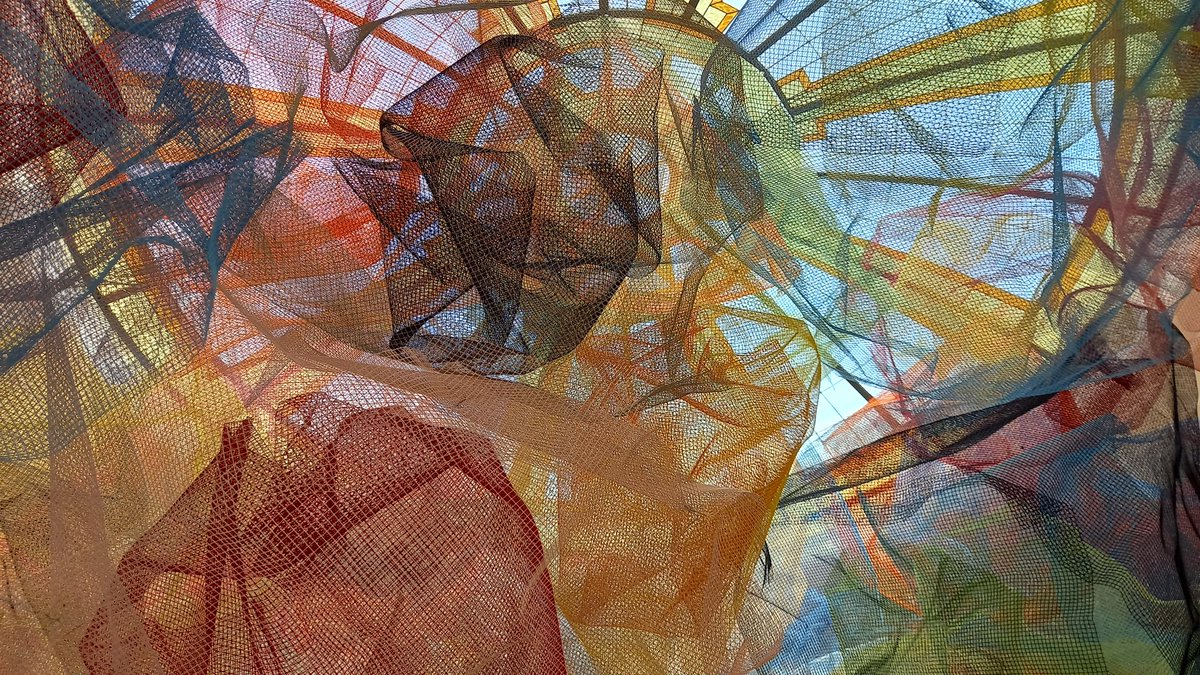 Dr Alexandra Loske tweet media