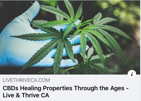 botanicals2021's tweet photo. https://t.co/Pu2R1B3puc
"Unlocking Hemp CBD's Healing Properties Through The Ages"
By: @carmenmilagro (Certified CBD Consultant)
Nice to know we've reached over 20,000+ people with this information! Thanks to #LiveThriveCA
#CCBDC #certifiedcbdconsultant #cbdadvocate #hempcbd https://t.co/d8LpEXtPi9