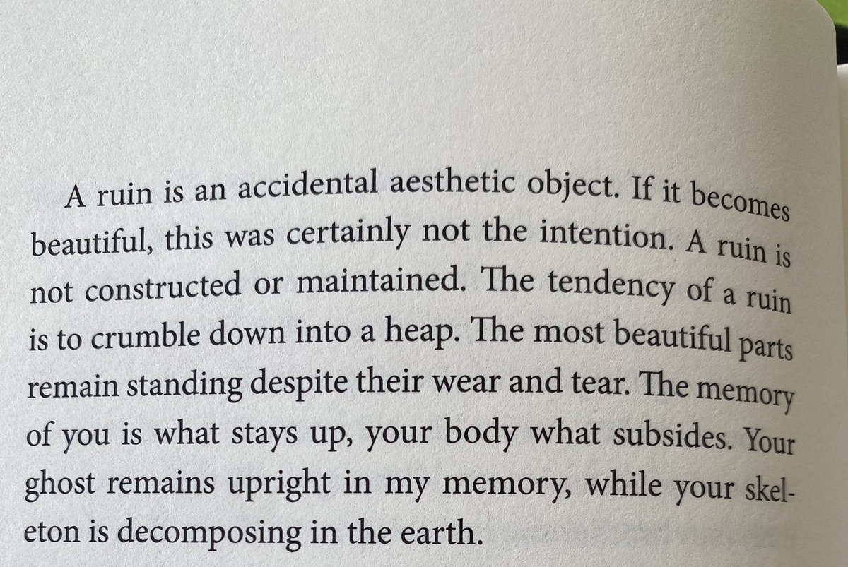 Alina Stefanescu on X: A ruin is an accidental aesthetic object. - Edouard  Leve, SUICIDE translated by Jan Steyn  / X