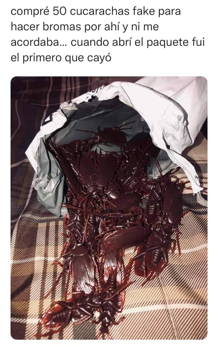 Prietos en Aprietos tweet media