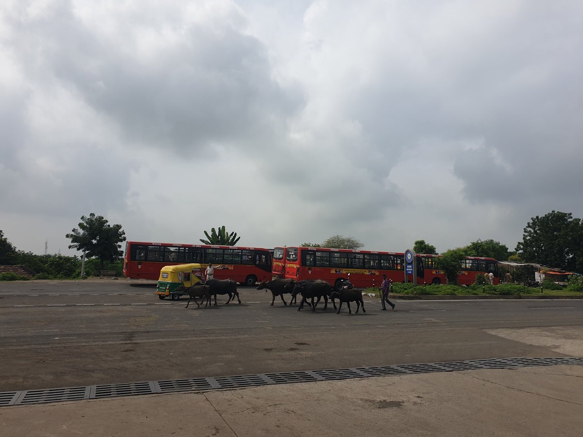 Vinita Gowda: Success has never been my weakness tweet media