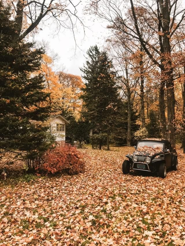 moraimauy's tweet photo. #ComingSoon 🍂 https://t.co/jwINpg3m6v