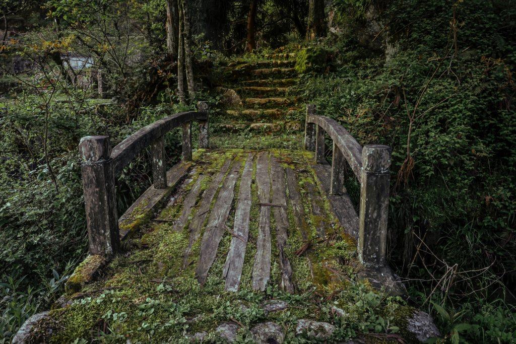 BanbWritersCafe's tweet photo. Phewwww-eeee! The #shortstorycompetition is hotting up! We're loving your entries inspired by one of these so keep 'em rolling in! #writing #AuthorsOfTwitter #writerslift #writingcommmunity #writinglife Please read the guidelines on our website and send us your best https://t.co/XniV1IaRnS