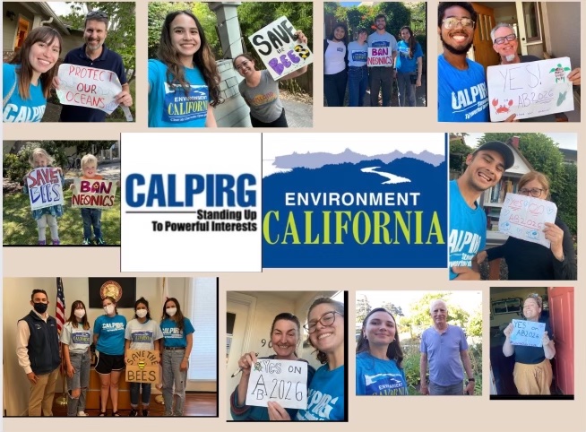 ___prab___'s tweet photo. This Summer, @CALPIRG &amp; @EnvCalifornia knocked on doors across the state to advocate for bills that would protect our environment and communities. Today we’re talking to legislators about our priority legislation! #YesOnAB2026 to reduce plastic waste and #2146 to save the bees! https://t.co/EzV7X3MG5Y
