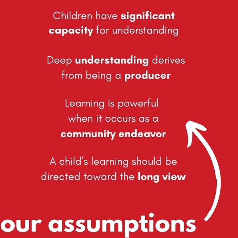 Elizabeth Bayer Morgan tweet media