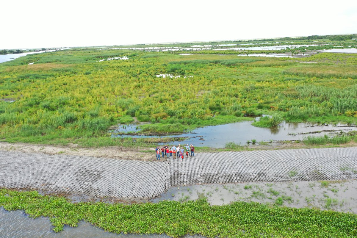 LouisianaCPRA's tweet photo. Construction on the Bayou Decade Ridge and Marsh Creation Project is completed! The project created and nourished over 473 acres of marsh near Lake Decade and restored over 11,000 feet of ridge habitat along the northern bank of the Bayou. Read more: https://t.co/vx5c11hZpA https://t.co/lmF5CweIMp