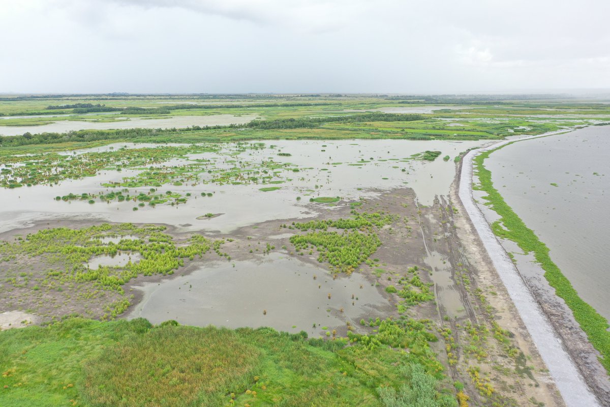 LouisianaCPRA's tweet photo. Construction on the Bayou Decade Ridge and Marsh Creation Project is completed! The project created and nourished over 473 acres of marsh near Lake Decade and restored over 11,000 feet of ridge habitat along the northern bank of the Bayou. Read more: https://t.co/vx5c11hZpA https://t.co/lmF5CweIMp