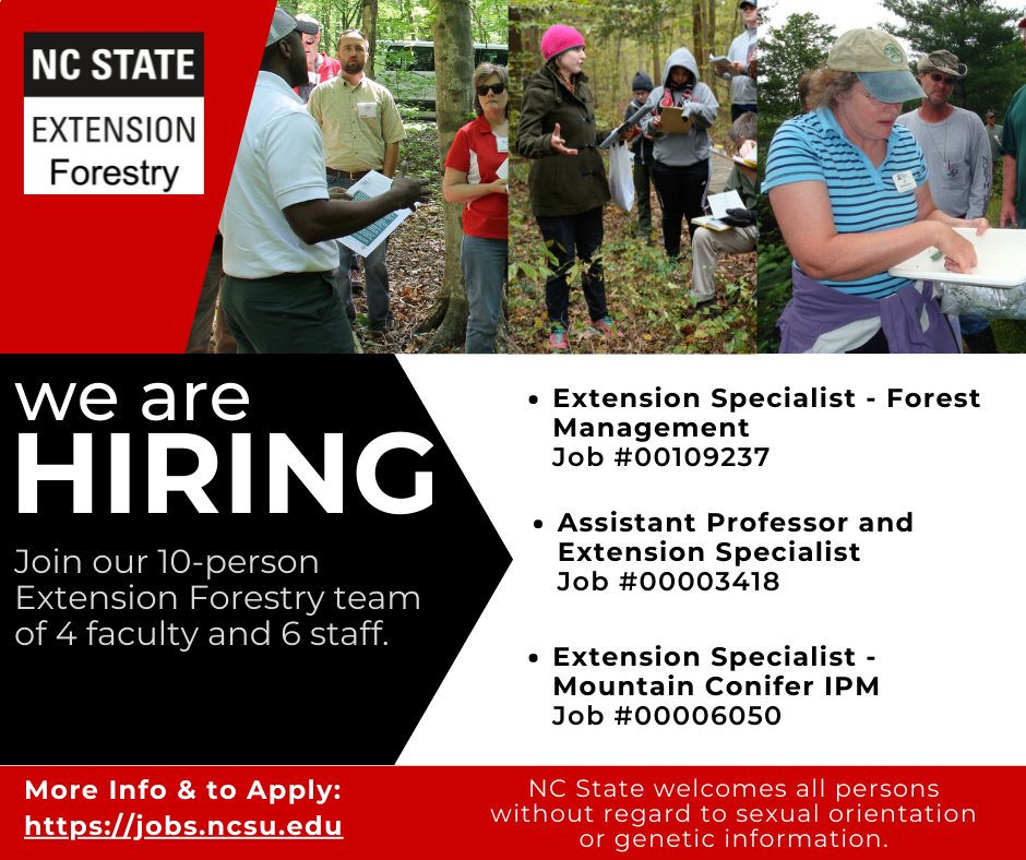 NC State Extension Forestry tweet media