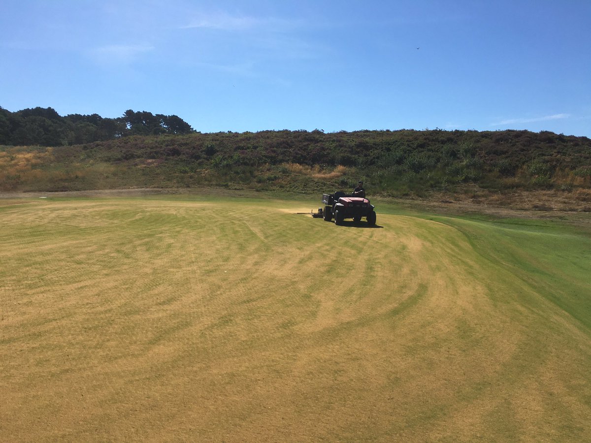 grnkeepergrant's tweet photo. A great effort by the team today in some very hot conditions. Top-dressing tees, dragging sand and getting some TX10 granular feed out to help with recovery!! https://t.co/v46VOAML3O