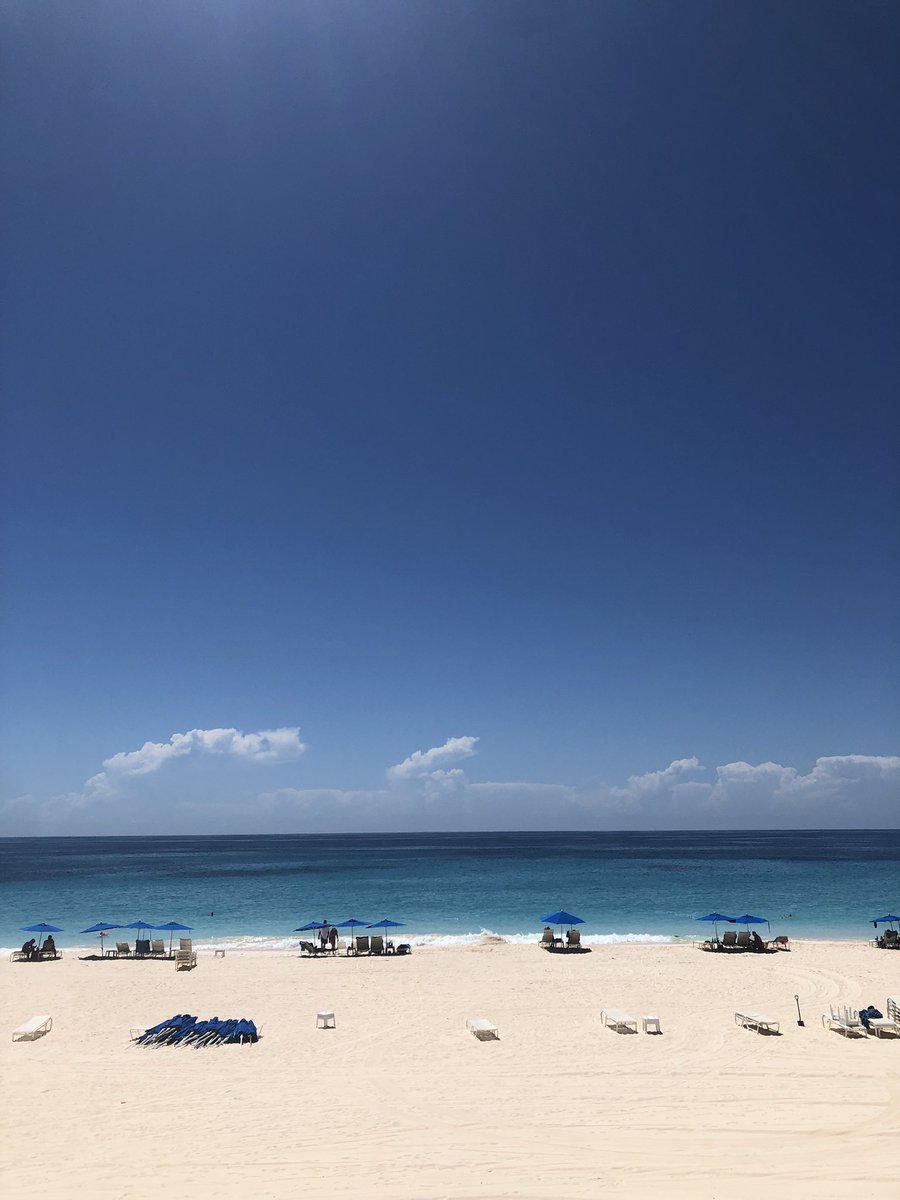 streetmadss's tweet photo. sexy views https://t.co/PVTtARGC90