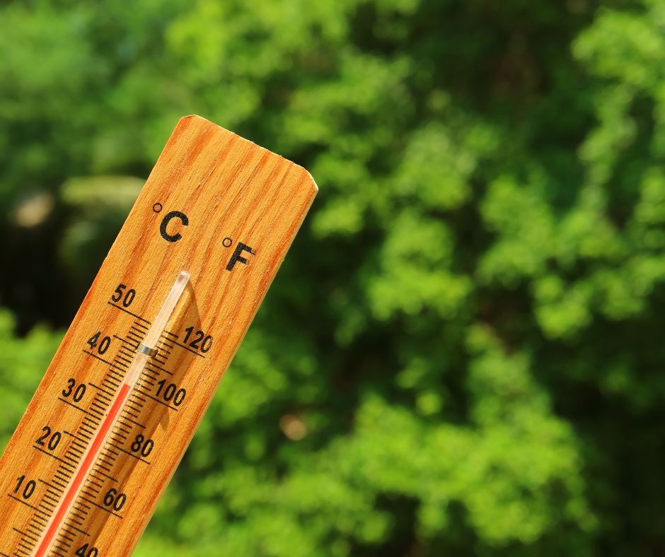 Due to the Met Office issuing an amber warning of extreme heat, we have activated the hot Weather SWEP (Severe Weather Emergency Protocol) in #Adur and #Worthing. Our Outreach Team and Turning Tides staff will be checking on the welfare of rough sleepers in the community.