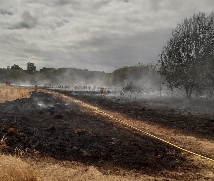 LondonFire's tweet photo. With crews tackling more grass fires in #Feltham, we’re asking #Londoners to help protect the city we all love by doing everything you can to prevent further grass fires. Don’t barbecue in parks, dispose of glass safely &amp; put cigarettes out properly https://t.co/1bsMaXsDBC https://t.co/62eSu43ro7