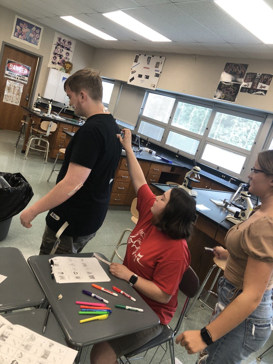 Human Body System students practiced naming anatomical regions by labeling their own bodies with tape. Great work from a great group of students! #pltw #hbs #education #biology