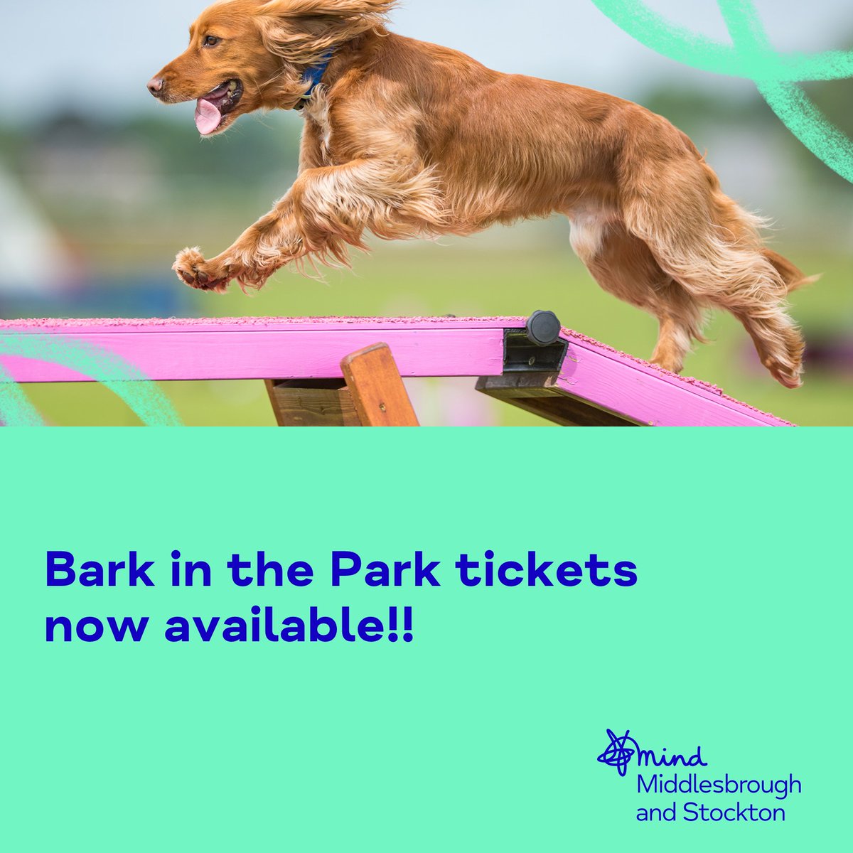 Tickets are now available for our annual Bark in the Park event at Stewart Park on 10th Sep 🎉🐶🎉 . Tickets will sell fast so book early to avoid disappointment.

Bark In The Park - Events (middlesbroughandstocktonmind.org.uk) 

Hope to see you all soon for another truly PAWESOME day 🐾🐶