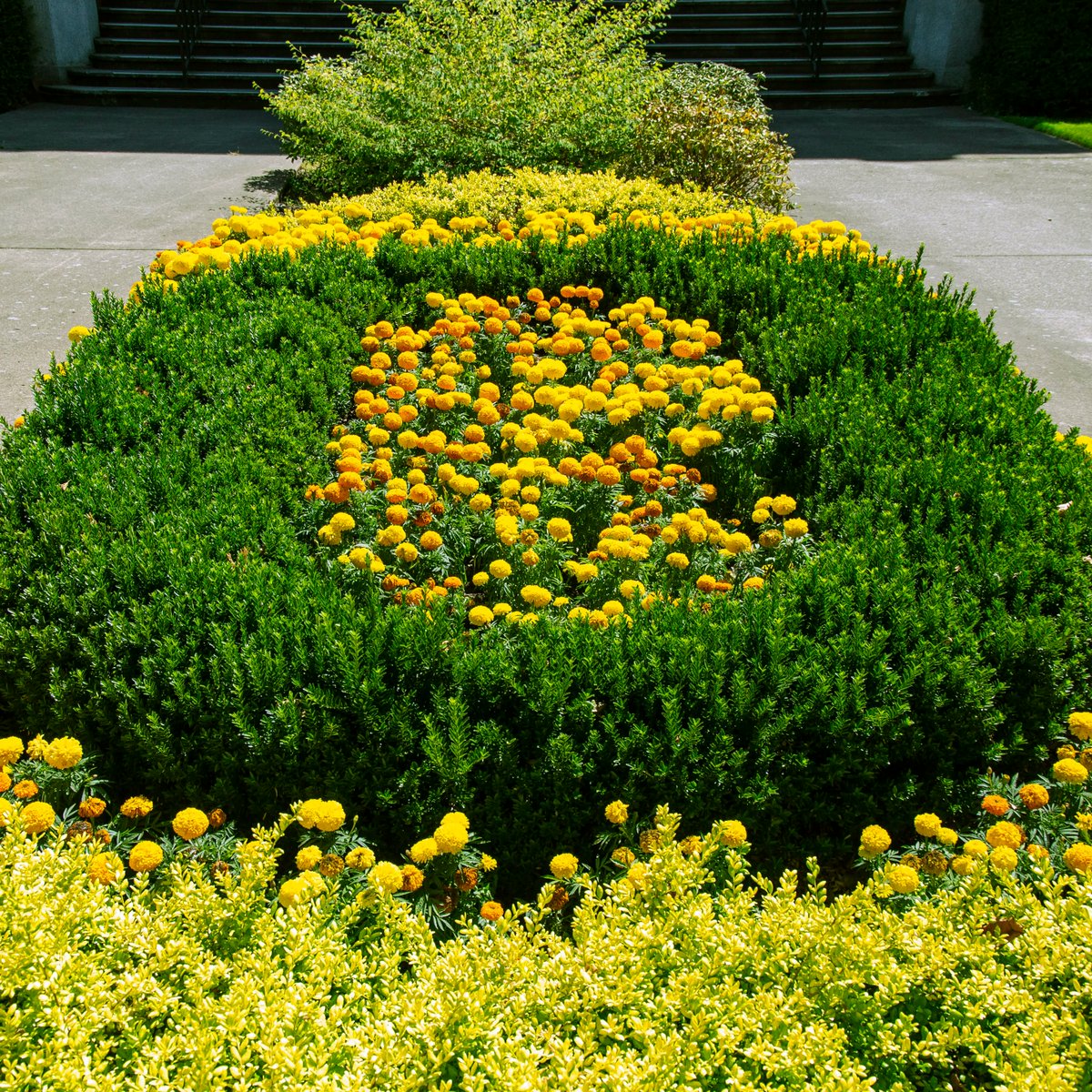 Summer on the greatest campus in the world ☀️ #GoDucks #UniversityofOregon #UO