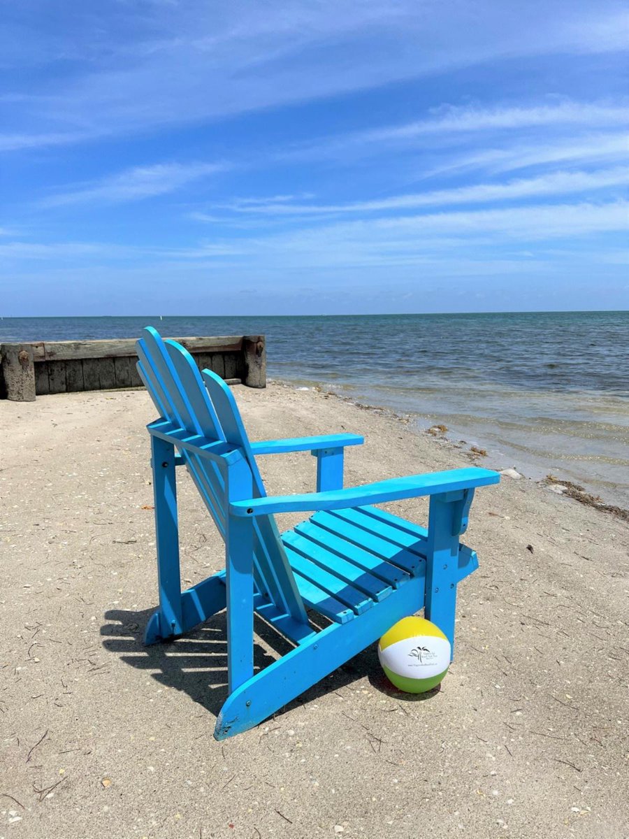 The Virginia Key Beach Park Trust Board of Trustees is opposed to the recent City of Miami Commission approval of Virginia Key as the location for a future homeless population encampment. #savevirginiakey #historicvirginiakeybeachpark