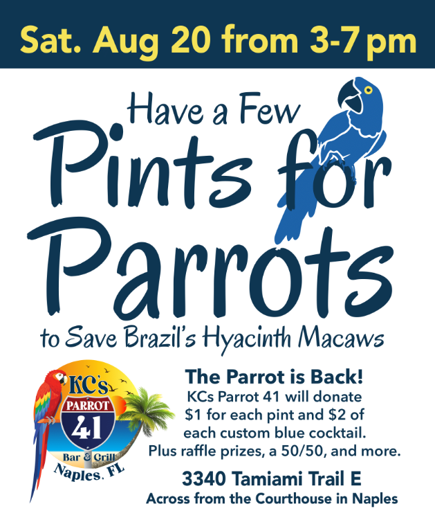 NaplesZoo's tweet photo. Join us August 20th from 3-7 p.m. at 3340 Tamiami Trail E to help save Brazil's Hyacinth Macaws.
Will you be there? Let us know!
https://t.co/apgCRjj9ve
#pintsforparrots #napleszoo #whattodoinnaples #naplesfun #placesinnaples #239 #parrots #macaws #hyacinth https://t.co/lTjrTPzEQW