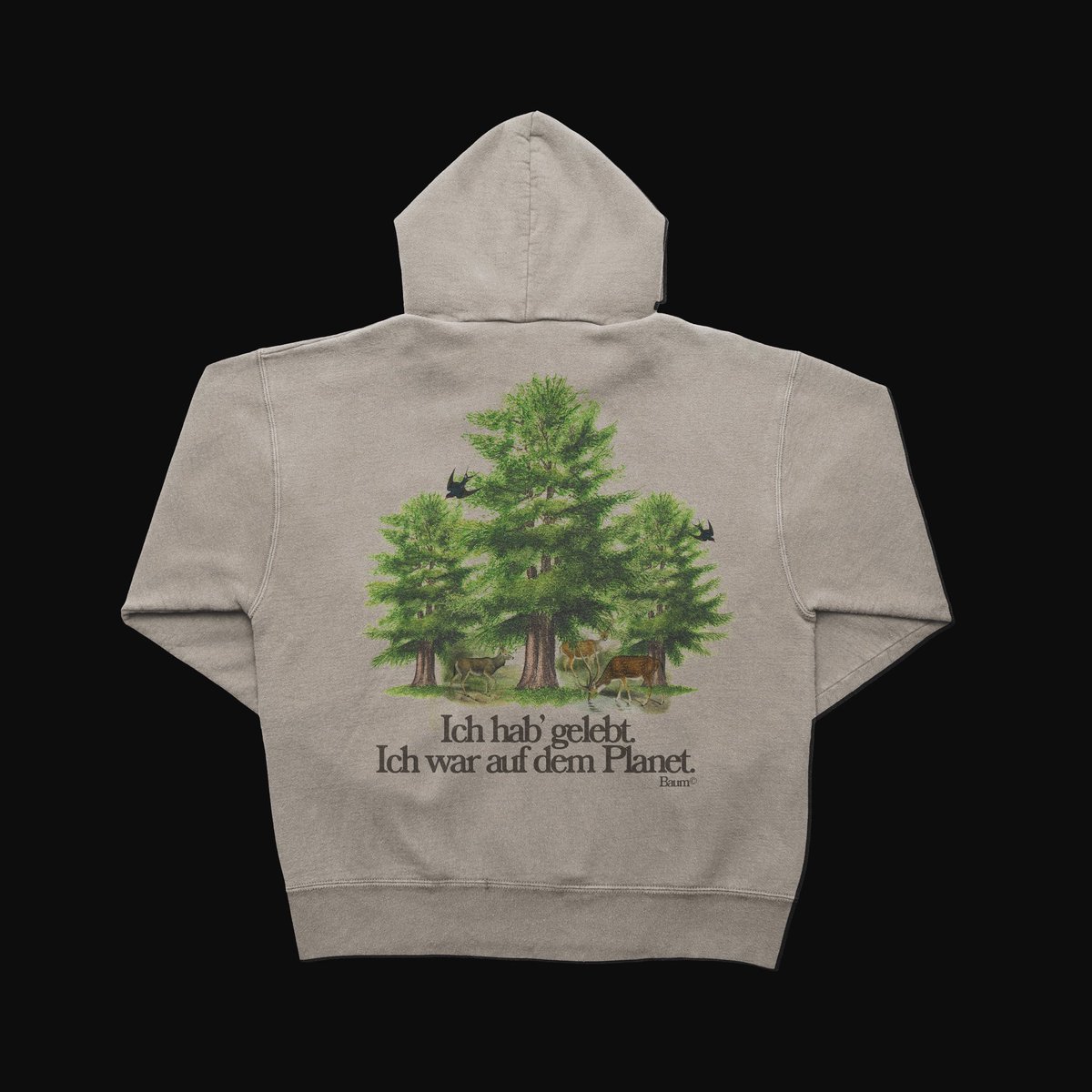 stxrlingstxdio's tweet photo. A little @thisiscro hoodie design 🫶🏼🇩🇪🌲 https://t.co/ppSoisDXNm
