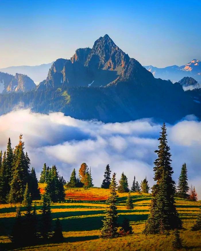 Grand Teton National Park 💙💙