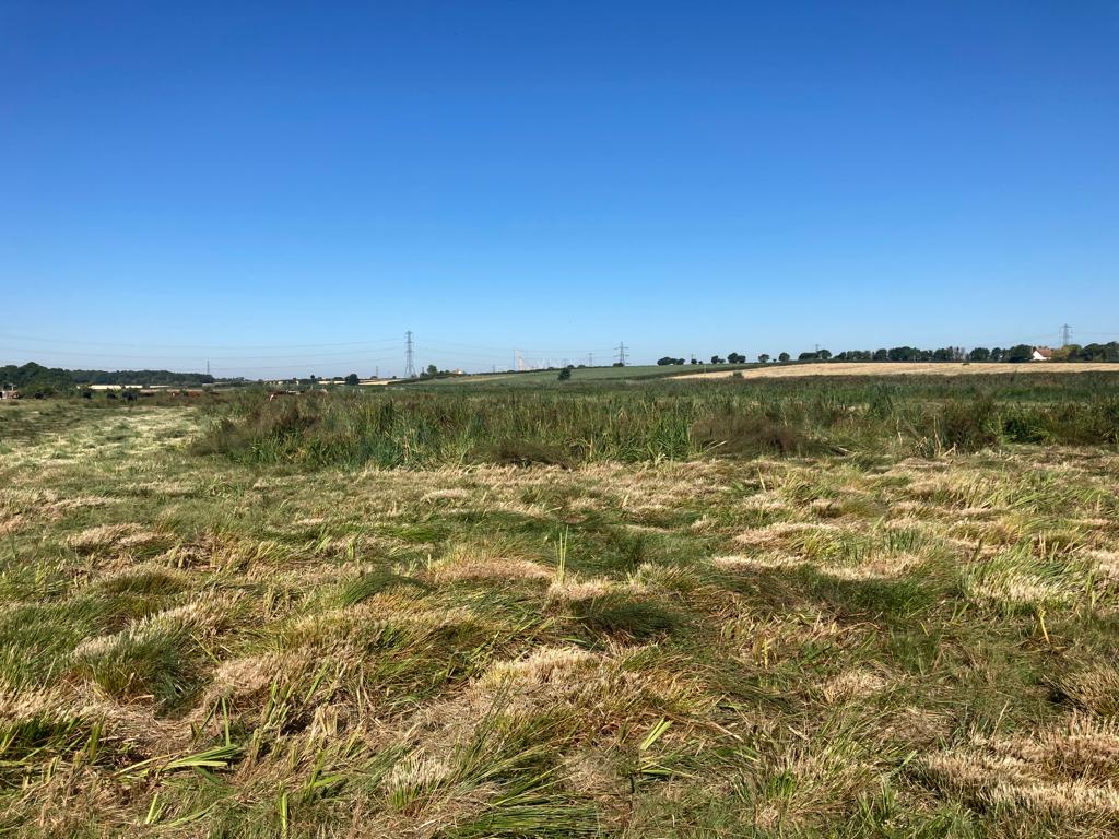 WWTSteart's tweet photo. Great trialling the NE softrak out on Stockland Marshes. Getting to the trickier areas for rush and vegetation management. Improving views across the main lake come the winter and habitat for wintering and breeding waterfowl @NE_Wessex https://t.co/Qvz6PYfkTZ