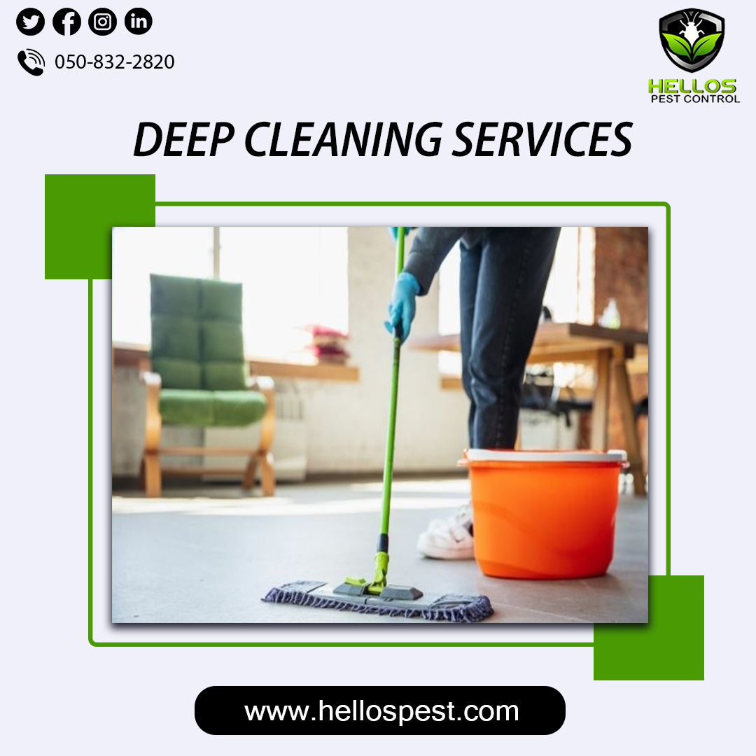 Deep cleaning services for your your home or business.
Call us Now for more details 📱 +971 50 832 2820
Visit: hellospest.com
#deepcleaning #cleaningservices #cleaning #commercialcleaning #cleaningcompany #housecleaning #officecleaning #dubai #pestcontrolservices