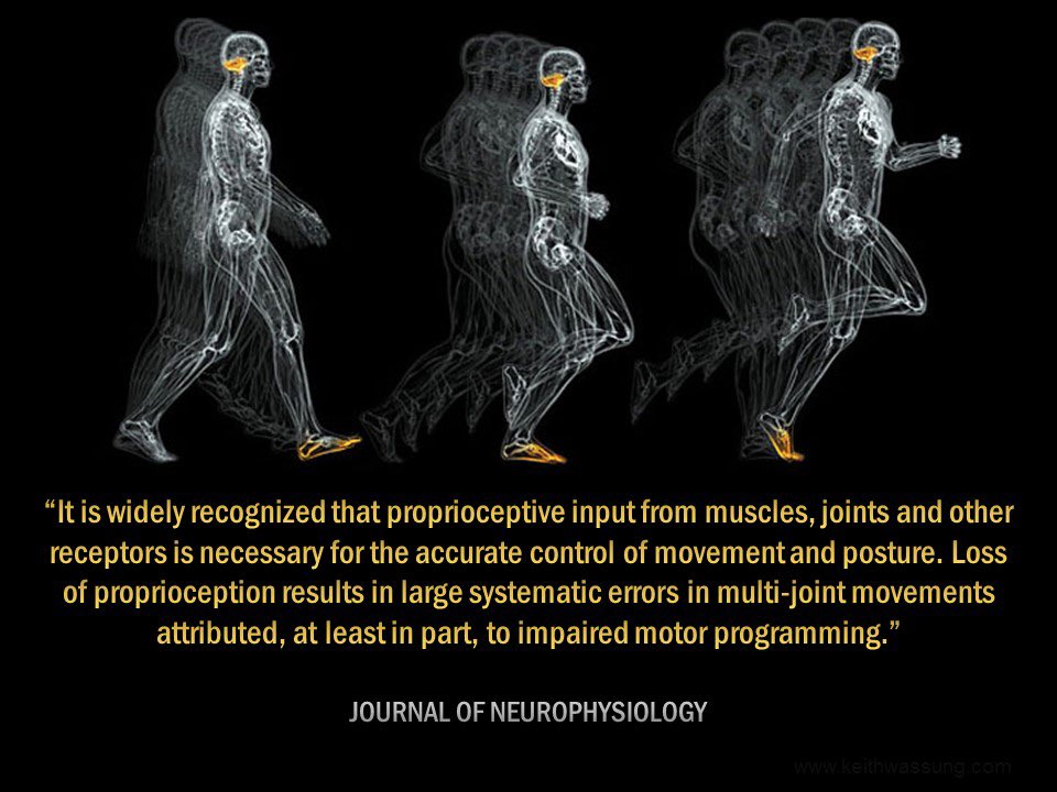 If you: Fall when you walk across uneven surfaces, Don’t understand your own strength, Display uncoordinated movement and/or Have Balance issues chiropractic can help🙌! 

Full post at instagram.com/p/ChIc0iUuN7M/…

#alignyourspine #cafeoflifelondon #chirolndnON