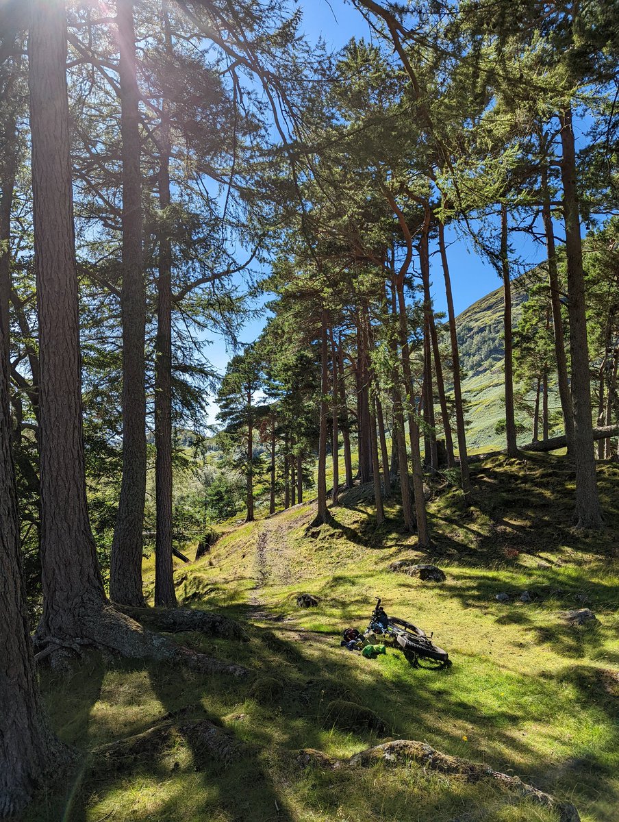 Fat Bike Farm tweet media