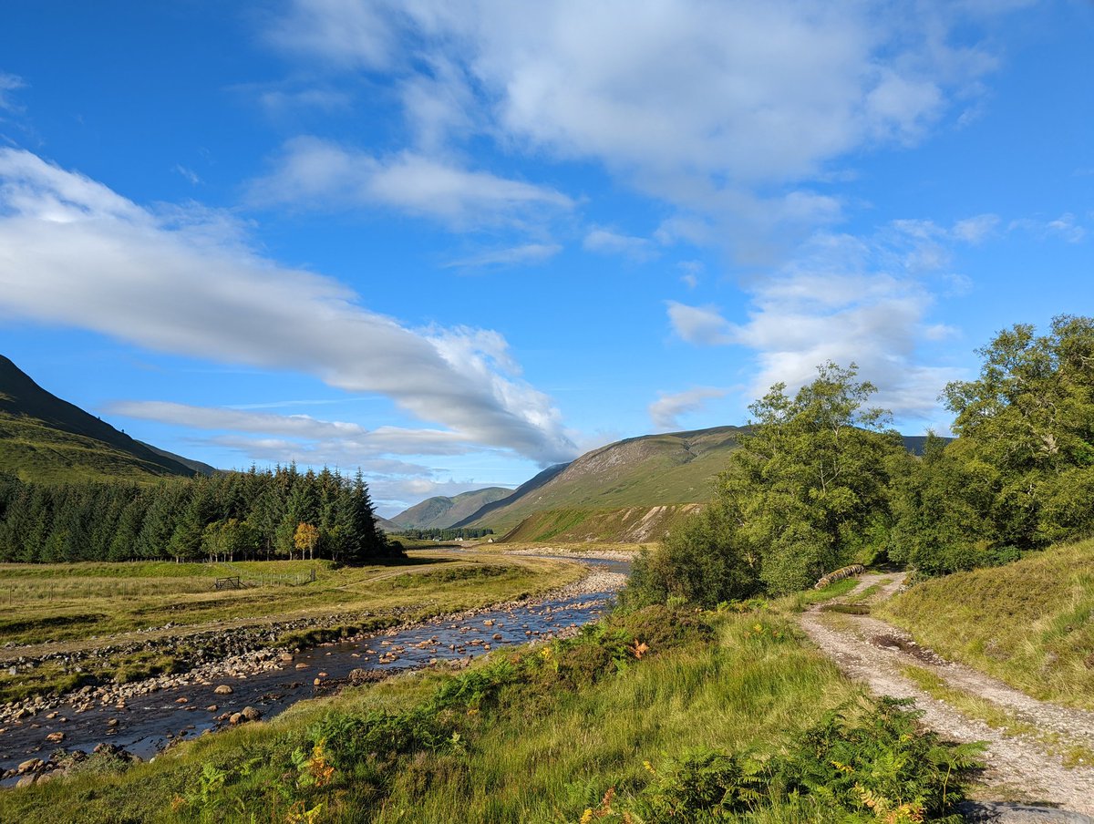 Fat Bike Farm tweet media