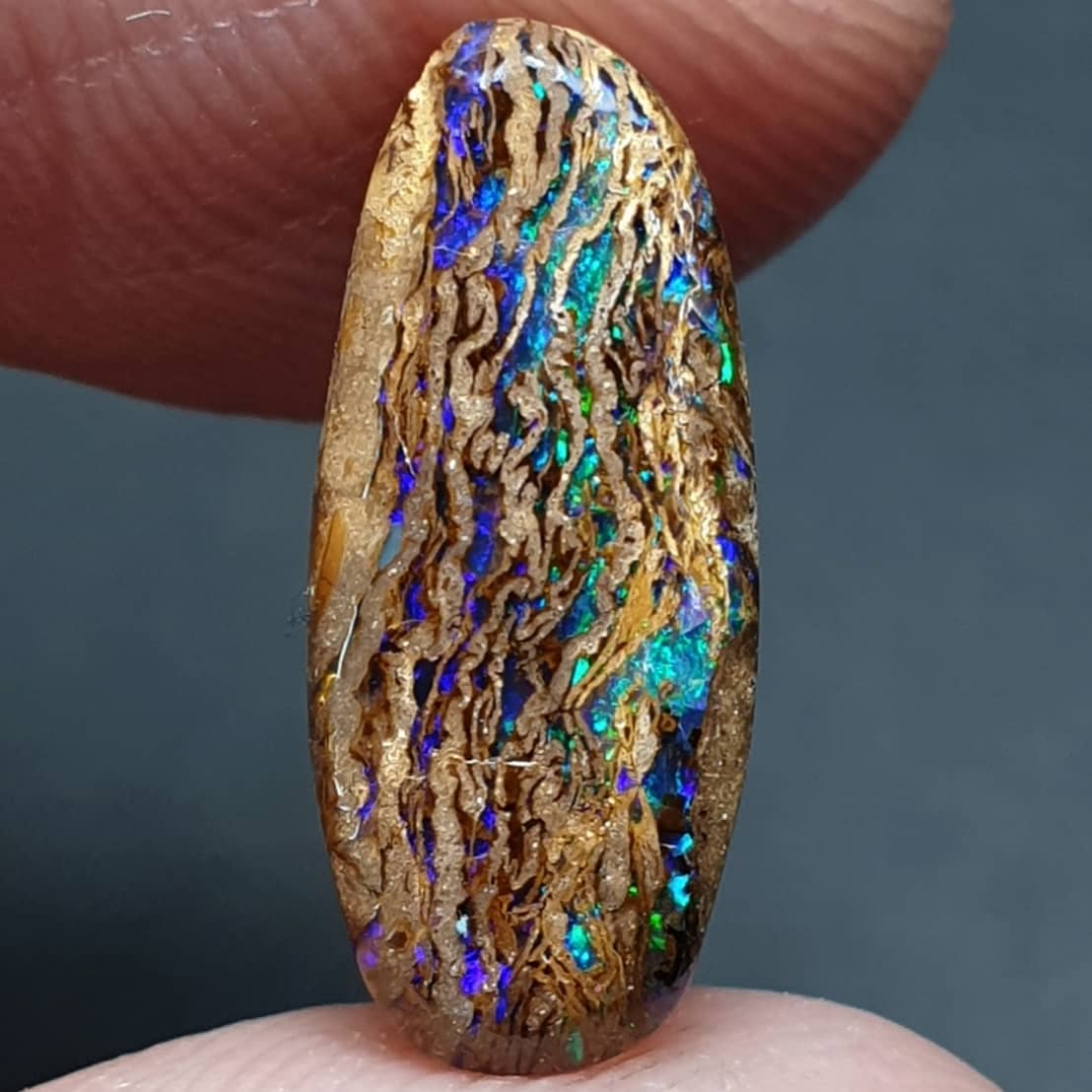 Koroit Boulder Wood Opal from Australia 

Photo: Prestige Opals

#minerals #gems