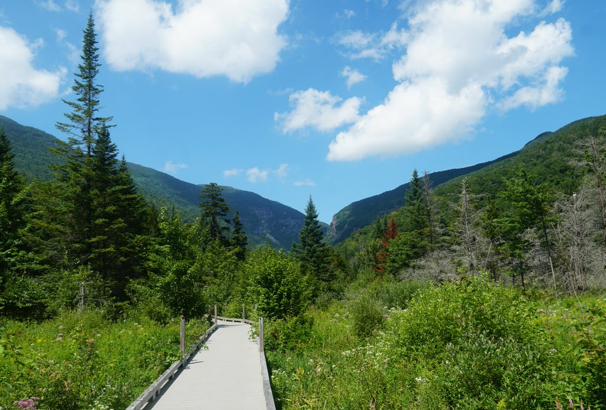 gostowe's tweet photo. View of the Week: can you name this location in Stowe with an accessible boardwalk and stunning views of cliffs and beaver-built wetlands? π (PC, Sharon Harper) #stowescenes #summerinstowe #gostowe #summerinvt #thisisvt #viewoftheweek https://t.co/IYAjUudeKG
