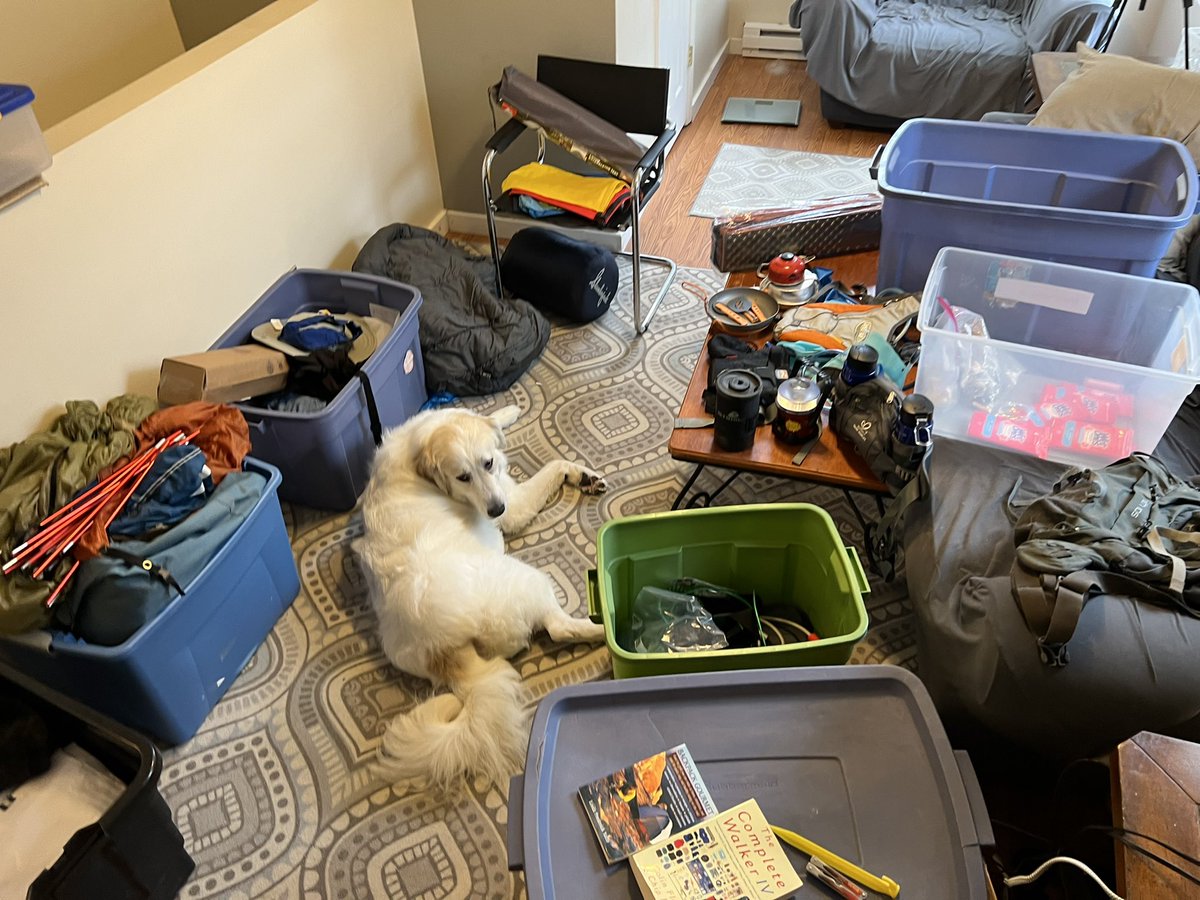 My flat has almost become uninhabitable for me &amp; gray. One of us will have to start sleeping in the Hudson mobile… wonder which one that would be.. 😝 <a href="/3leggedpyrenees/">Grayson</a> #Walk3 #DogsofTwittter