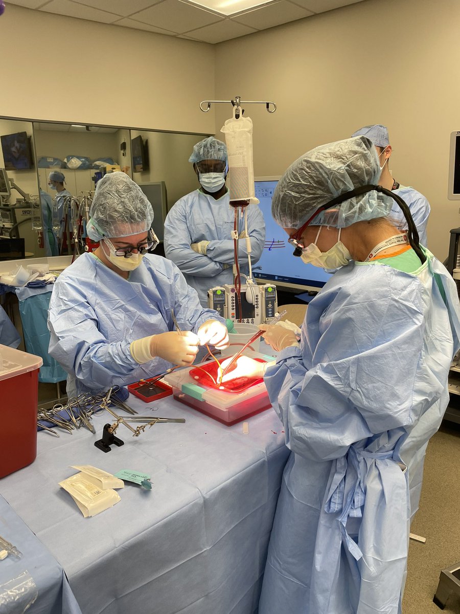 NahushMokadam's tweet photo. #aortic #cannulation for #cardiopulmonarybypass #simulation #cardiac #surgery #50steps for our first year #ctfellows. The #learningcurve is steep!! https://t.co/7JxJceKs2z