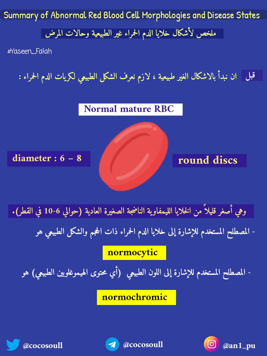 ياسيـن فالح tweet media