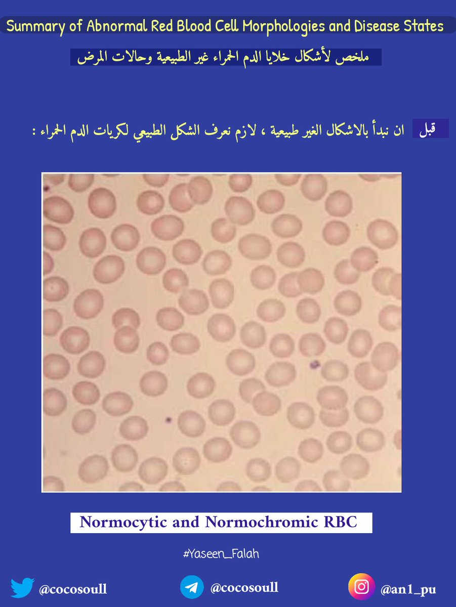 ياسيـن فالح tweet media